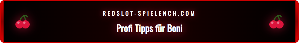 Checkliste mit fortgeschrittenen Tipps zur optimalen Bonusnutzung.
